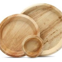 Areca Plates