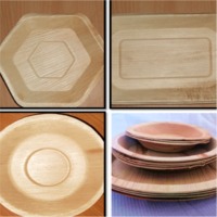 Areca Plates