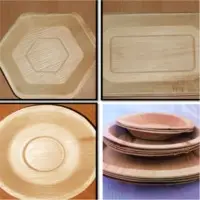 Areca Plates