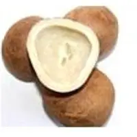 Coconut Copra