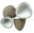 Coconut Copra