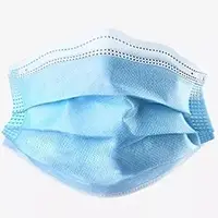 Disposable Protective Mask