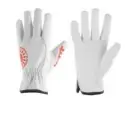 Hitita General Purpose Working Gloves