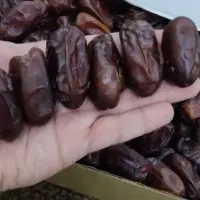 Khudri Dates