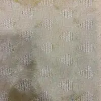 Ethnic Wear Fabric