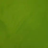 Lycra Fabric
