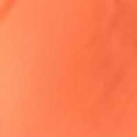 Lycra Fabric