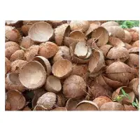 Coconut Shell