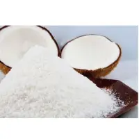 Desiccated Coconut Powder