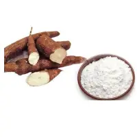 Tapioca / Cassava Starch