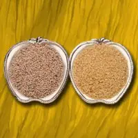 Sesame Seed