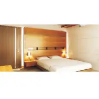 Flush Door