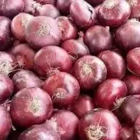 Onion
