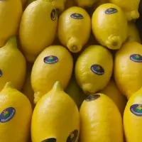 Lemon