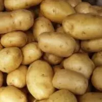 Potatoes