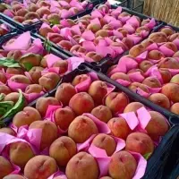 Peach