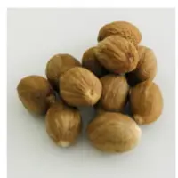 Nutmeg Kernel