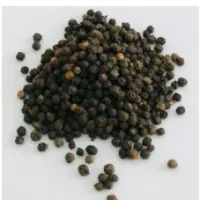 Black Pepper
