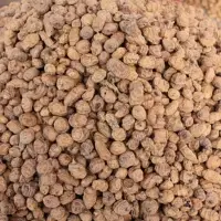 Tigernuts