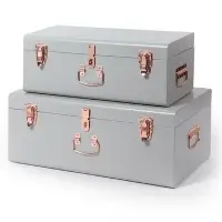 Trunks Set of 2