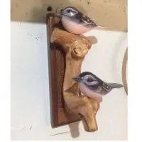 Wood And Coffee Plant Decorative Products