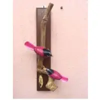 Wood And Coffee Plant Decorative Products