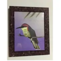 Canvas Paintings