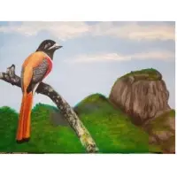 Canvas Paintings