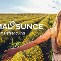 Helichrysum Italicum (Immortelle) Oil