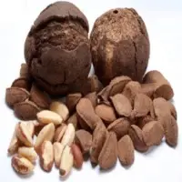 Brazilian Nuts