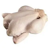 Frozen Chicken