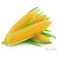 Corn