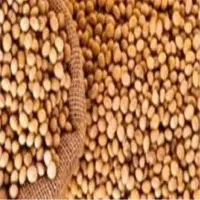 White Pepper
