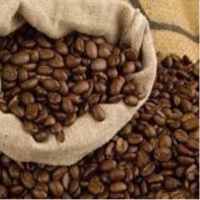 Robusta Coffee
