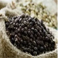 Black Pepper Pipper Nigrun