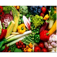 All Kind Of Fresh Vegetables