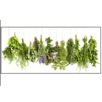 All Kind Of Fresh Herbs