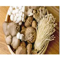 Fresh Mushrooms