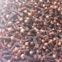 Cloves