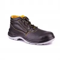 Article 700 Shoes
