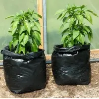 Grow Bag