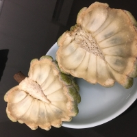 Taiwan Sugar Apple