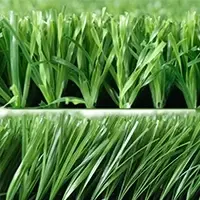 Football Grass