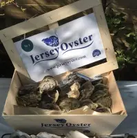 Jersey Oysters(Crassostrea gigas) "ASC"