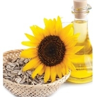 Sunflower Oil