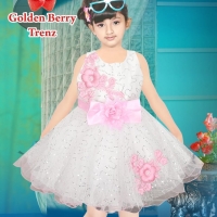 Kids Party Dress