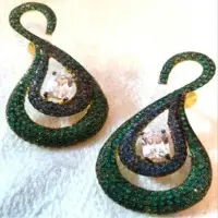 Earrings