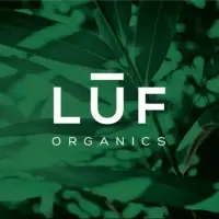 Organic Egyptian Loofah  LUF
