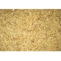 Barley