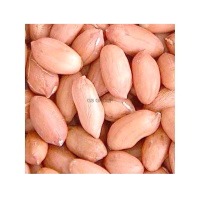 Groundnut Kernels